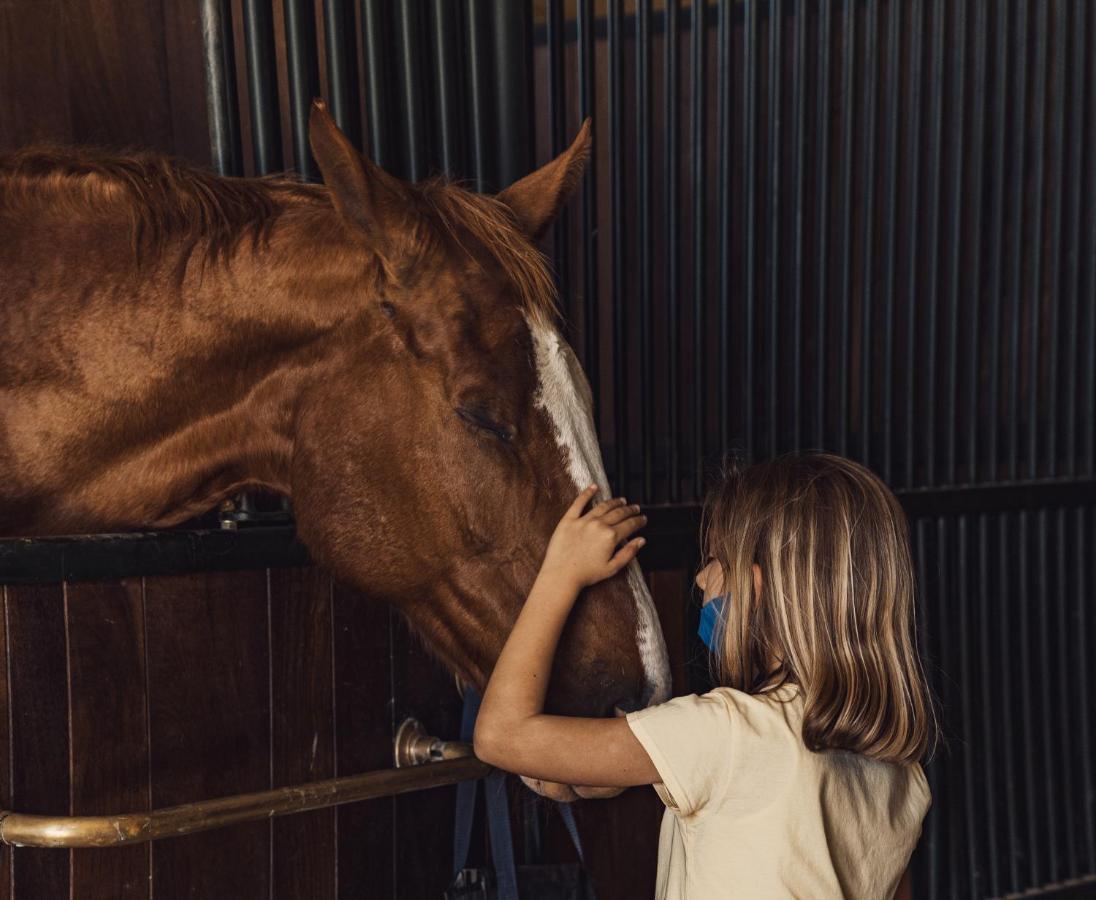 Agroturismo Podere Val D'orcia - Tuscany Equestrian Sarteano